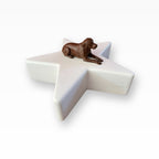 Monello Hundeurne Labrador wacht auf seinem Stern