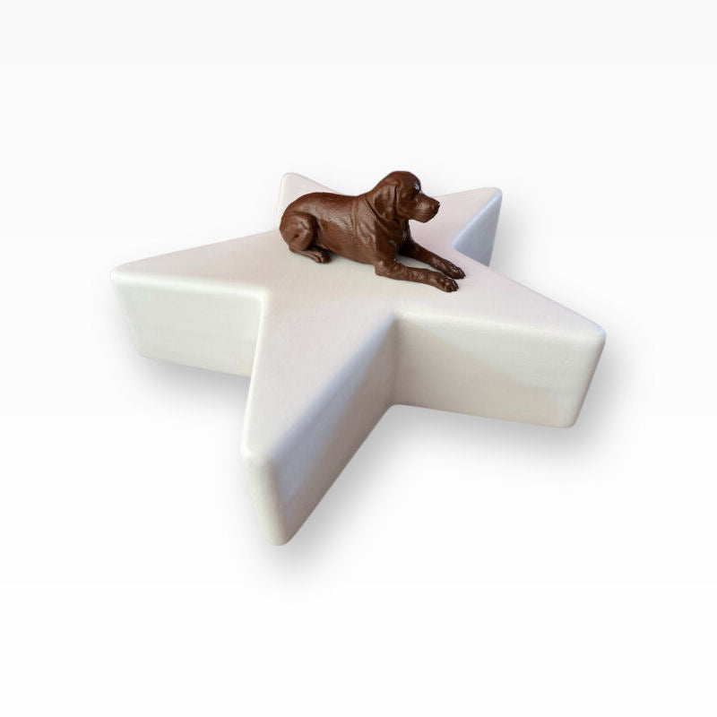 Monello Hundeurne Labrador wacht auf seinem Stern