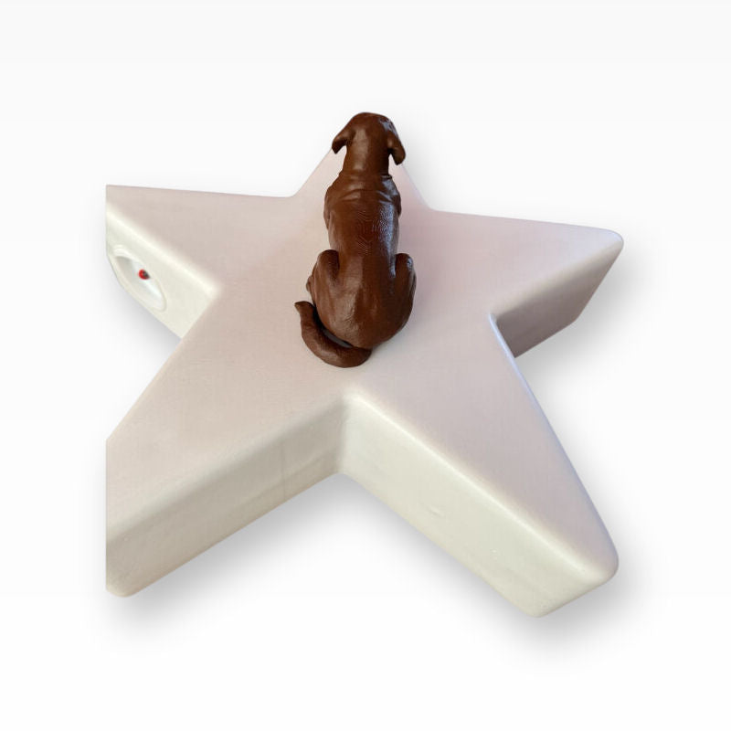 Monello Hundeurne Labrador wacht auf seinem Stern