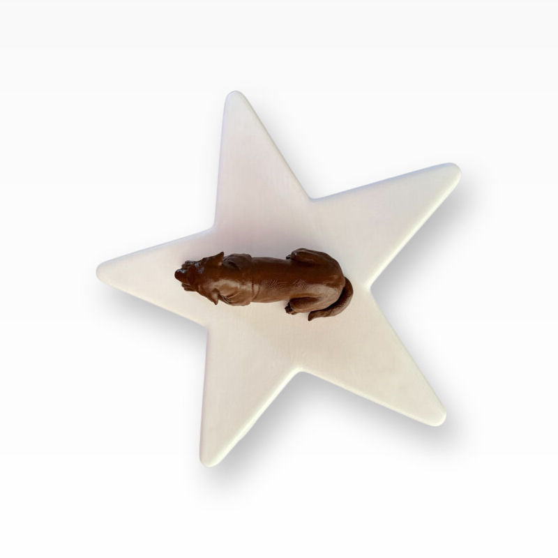 Monello Hundeurne Labrador wacht auf seinem Stern