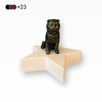 Monello Urne für Katzen Scottish Fold auf Sternurne Schottische Faltohrkatze