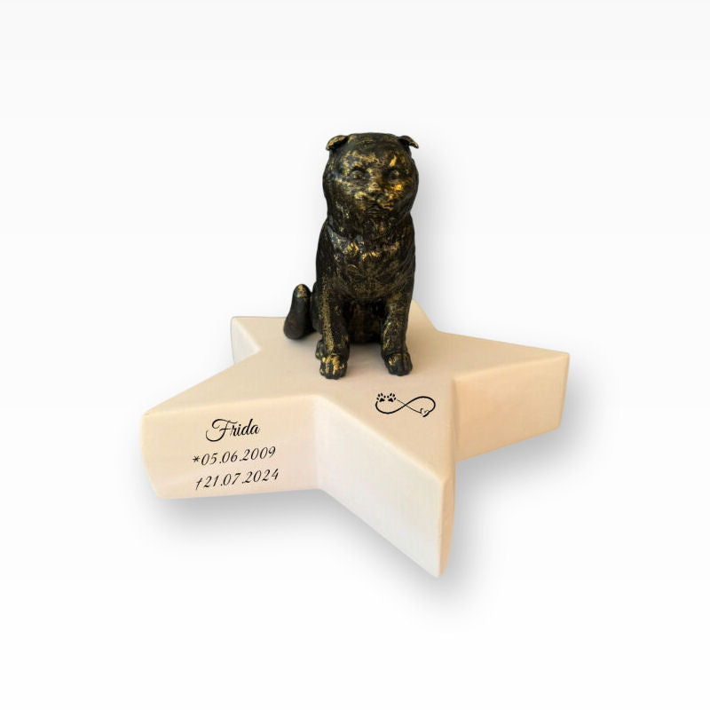 Monello Urne für Katzen Scottish Fold auf Sternurne Schottische Faltohrkatze