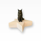 Monello Urne für Katzen Maine Coon auf Sternurne