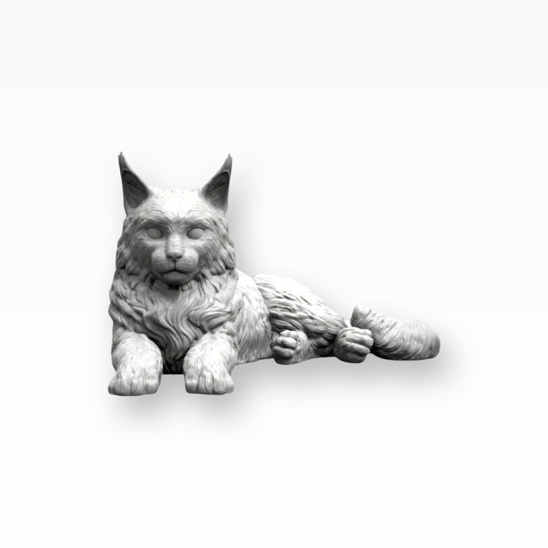 Monello Urne für Katzen Maine Coon auf Sternurne