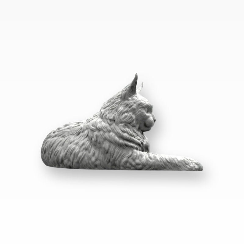 Monello Urne für Katzen Maine Coon auf Sternurne