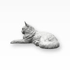 Monello Urne für Katzen Maine Coon auf Sternurne