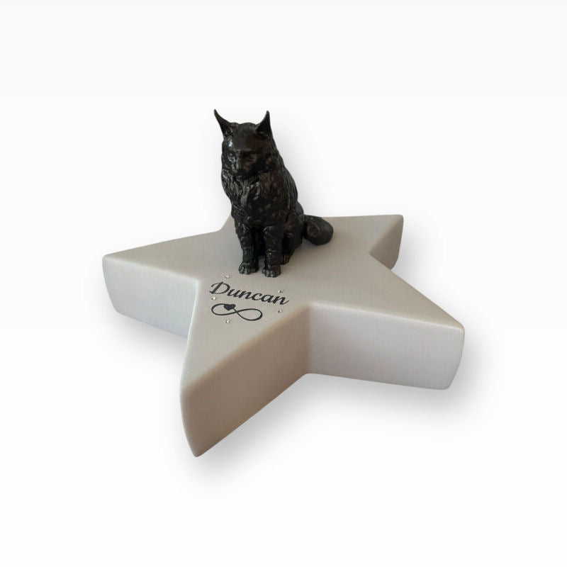 Monello Urne für Katzen Maine Coon auf Sternurne