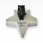 Monello Urne für Katzen Maine Coon auf Sternurne