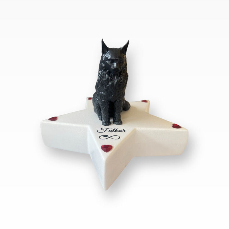 Monello Urne für Katzen Maine Coon auf Sternurne