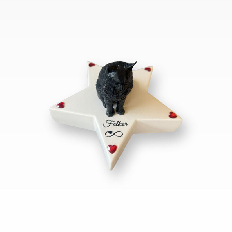 Monello Urne für Katzen Maine Coon auf Sternurne