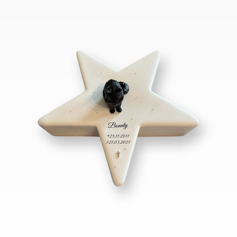 Monello Urne für Katzen Maine Coon auf Sternurne