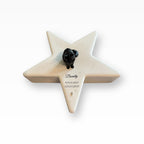 Monello Urne für Katzen Maine Coon auf Sternurne