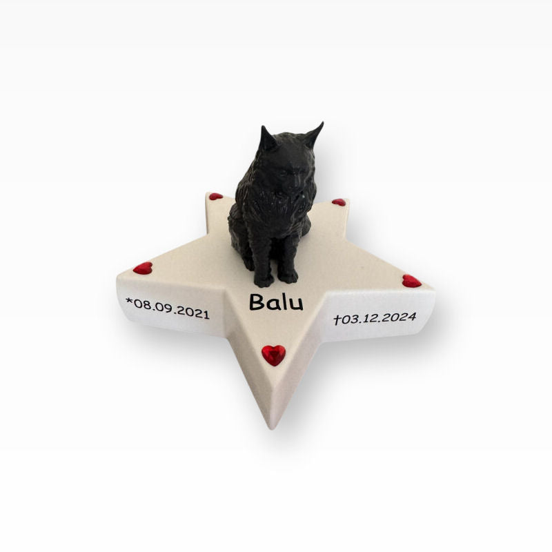 Monello Urne für Katzen Maine Coon auf Sternurne