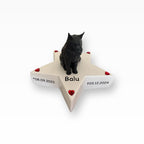 Monello Urne für Katzen Maine Coon auf Sternurne