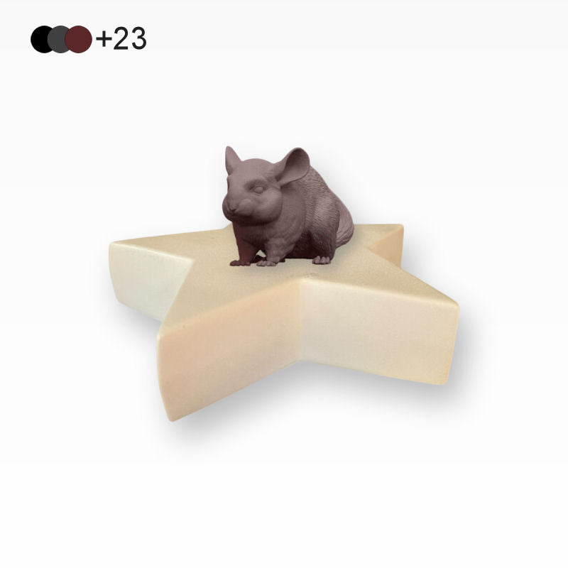 Monello Urne für Kleintiere Chinchillas Urne Sternurne