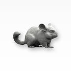 Monello Urne für Kleintiere Chinchillas Urne Sternurne