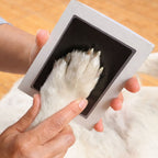 Monello Pfotenabdruck Set für Haustiere