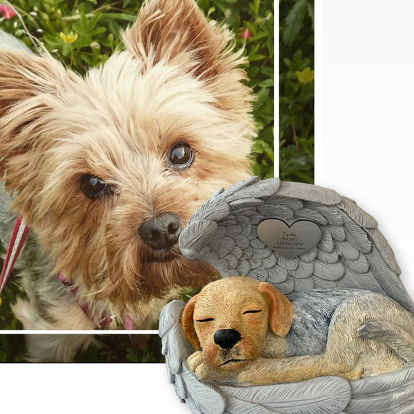 Monello® Hundeurne Hund in Engelsflügel bemalt nach Fotovorlage