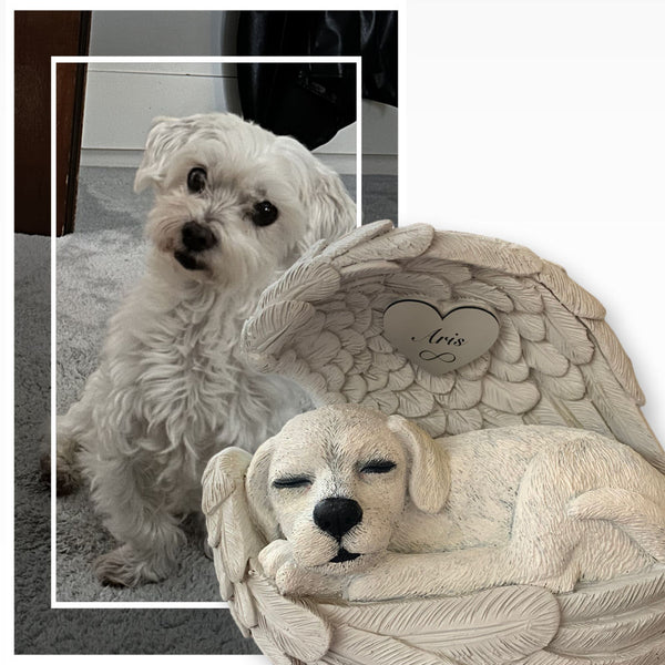 Monello® Hundeurne Hund in Engelsflügel bemalt nach Fotovorlage