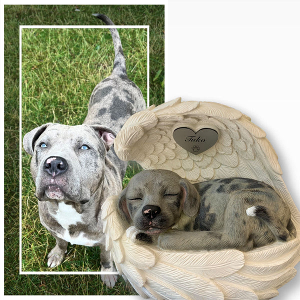 Monello® Hundeurne Hund in Engelsflügel bemalt nach Fotovorlage