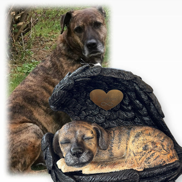Monello® Hundeurne Hund in Engelsflügel bemalt nach Fotovorlage