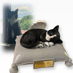 Monello® Portraiturne Katze auf Kissen bemalt nach Fotovorlage