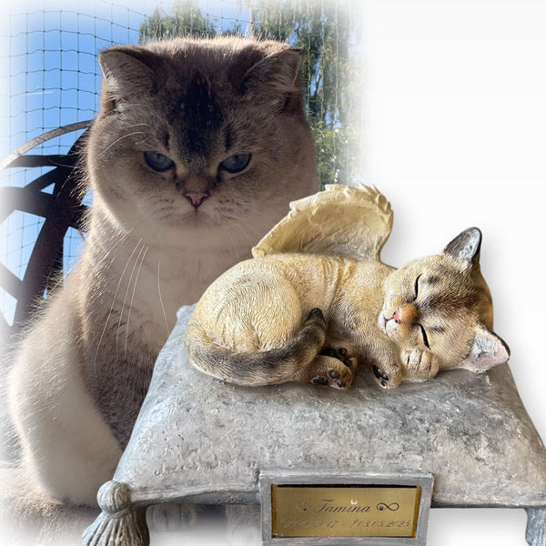 Monello® Portraiturne Katze auf Kissen bemalt nach Fotovorlage