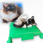 Monello® Portraiturne Katze auf Kissen bemalt nach Fotovorlage