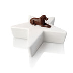 Monello Hundeurne Labrador wacht auf seinem Stern