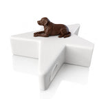 Monello Hundeurne Labrador wacht auf seinem Stern