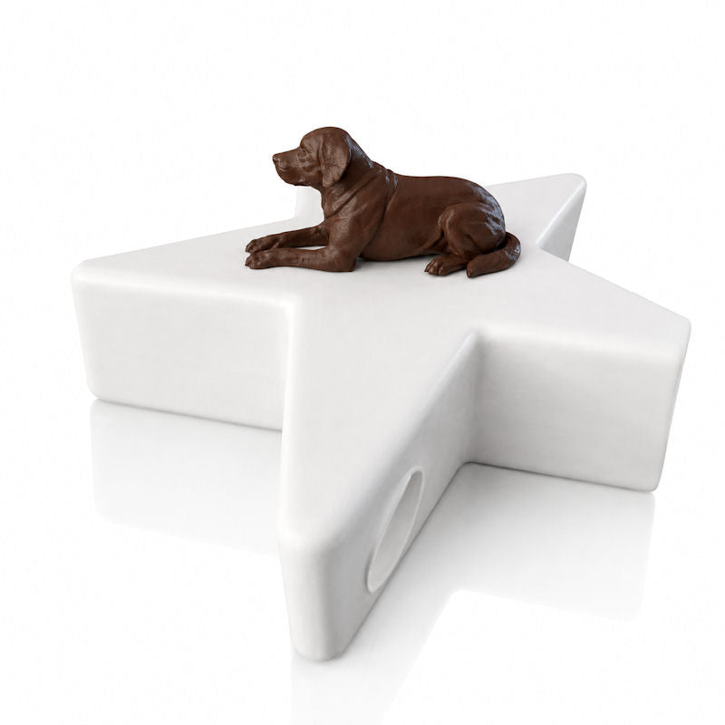 Monello Hundeurne Labrador wacht auf seinem Stern