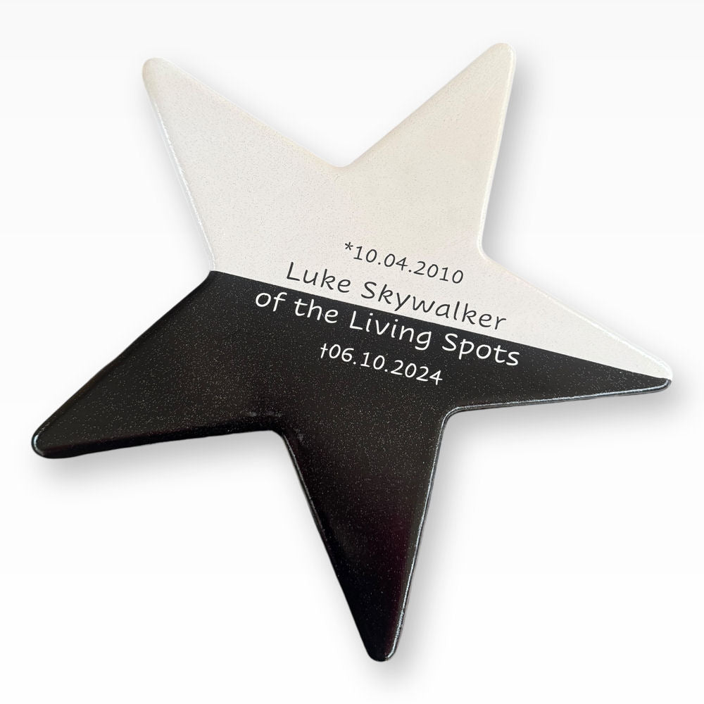 Urne für Zuhause Stern Ying Yang Tierurnen