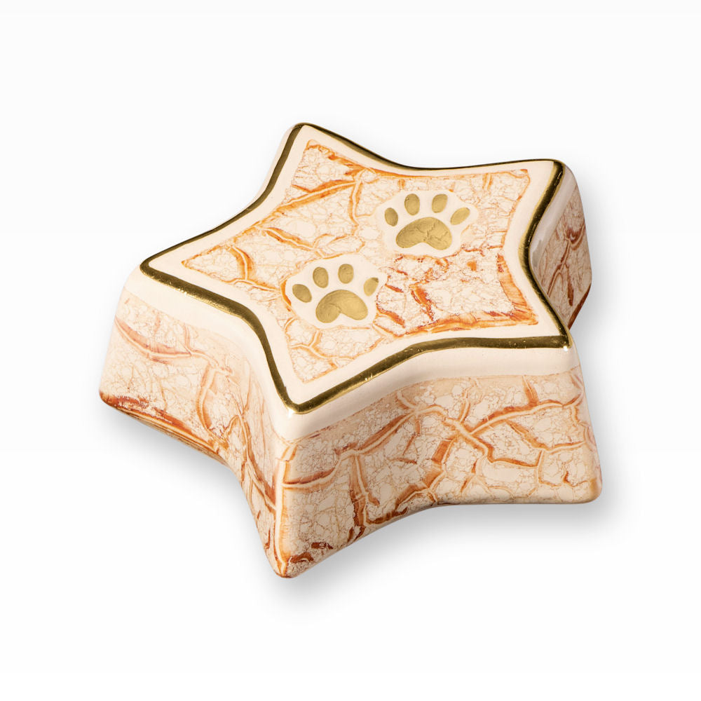 Heiso Tierurne Stern Modern