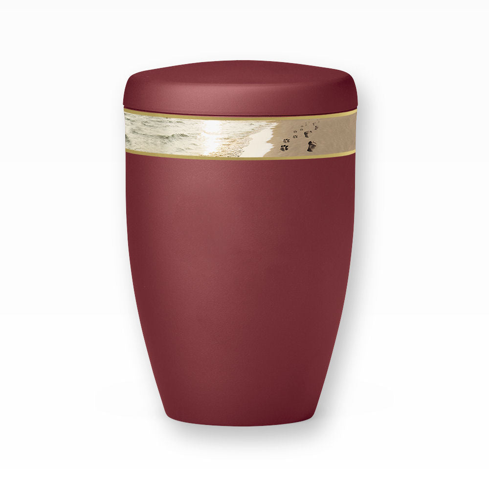 Heiso Tierurne Pfoten im Sand