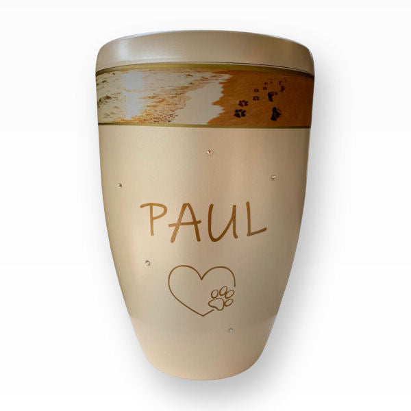 Heiso Tierurne Pfoten im Sand