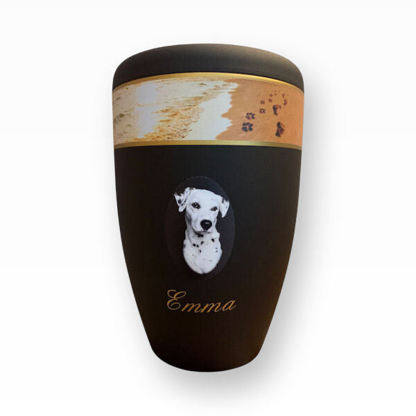 Heiso Tierurne Pfoten im Sand