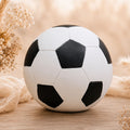 Tierurne Fußball – Kugelurne aus Keramik